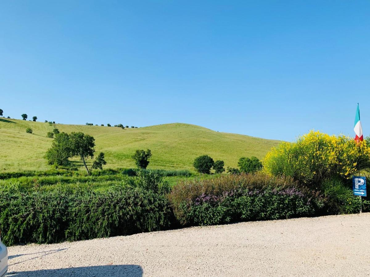8380 Agriturismo L'Oleandro Монтемерано Экстерьер фото