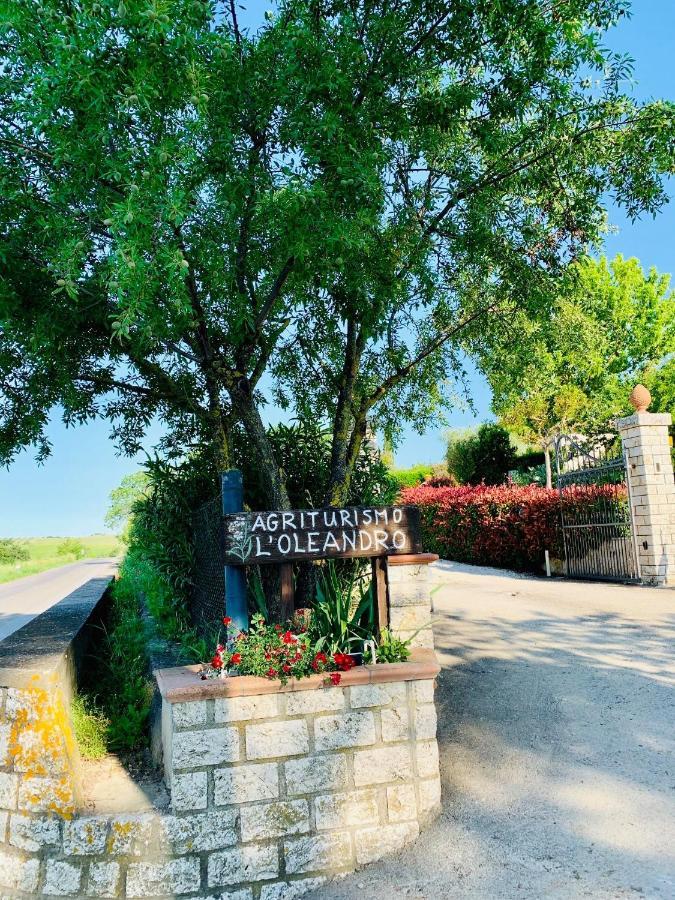 8380 Agriturismo L'Oleandro Монтемерано Экстерьер фото